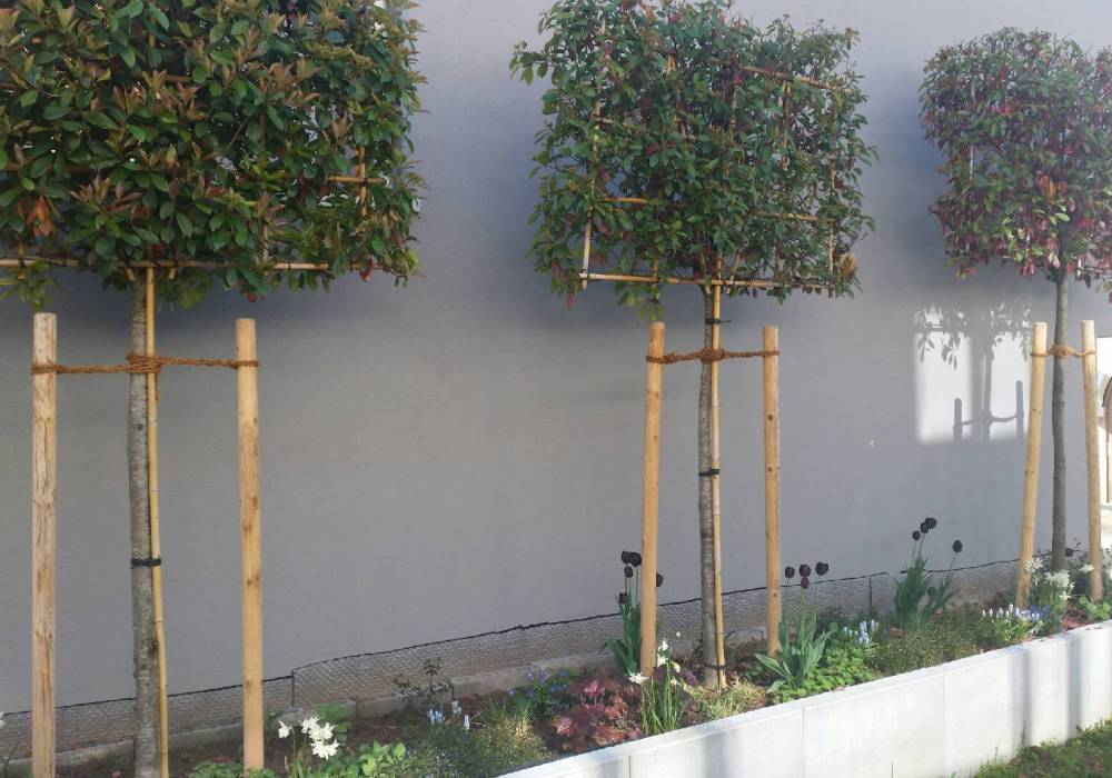 Mauerscheiben Neuanlage Gartengestaltung