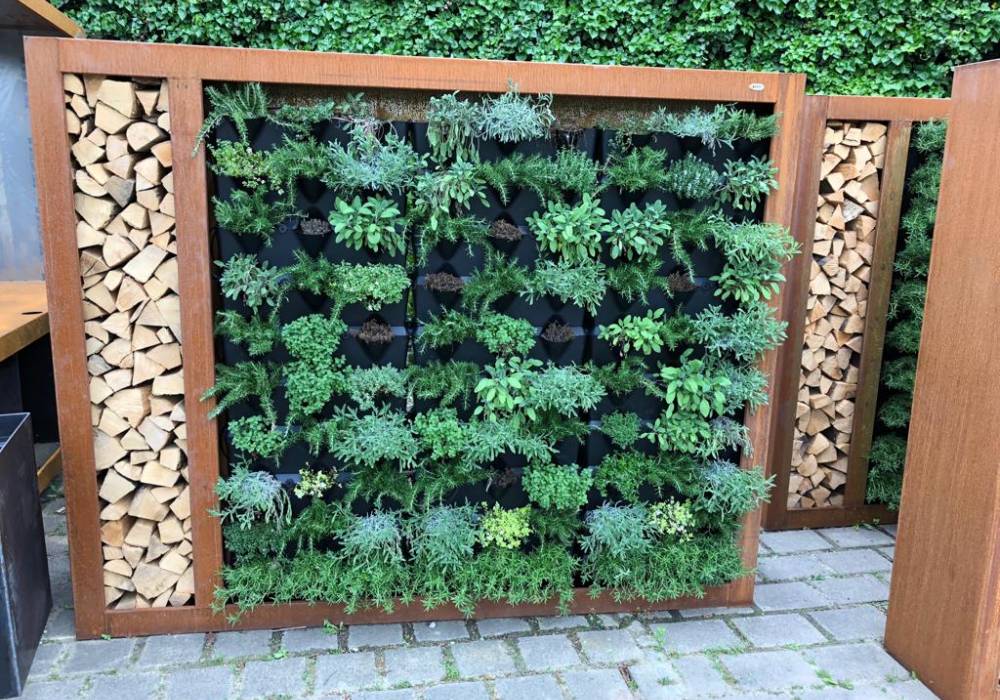 Sichtschutz Sichtschutz, Trennwand, Pflanzwand, Holz, Gartengestaltung, Schaugarten