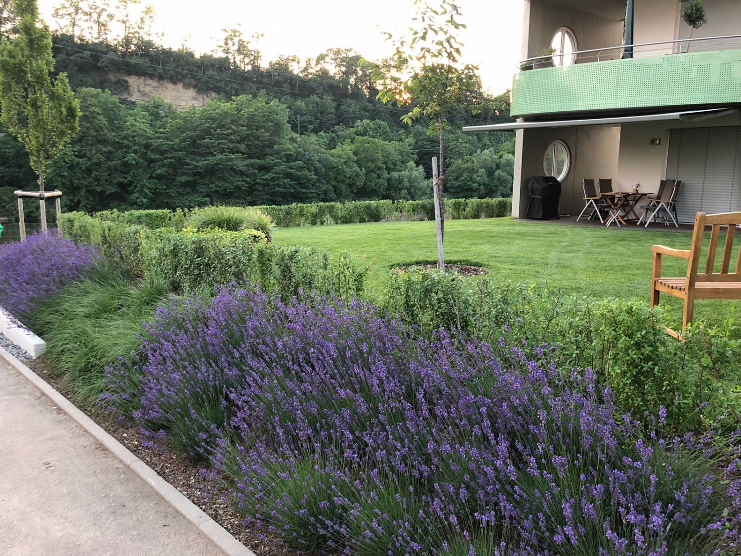 Rasen und Pflanzen Gartengestaltung, Rollrasen, Pflanzen