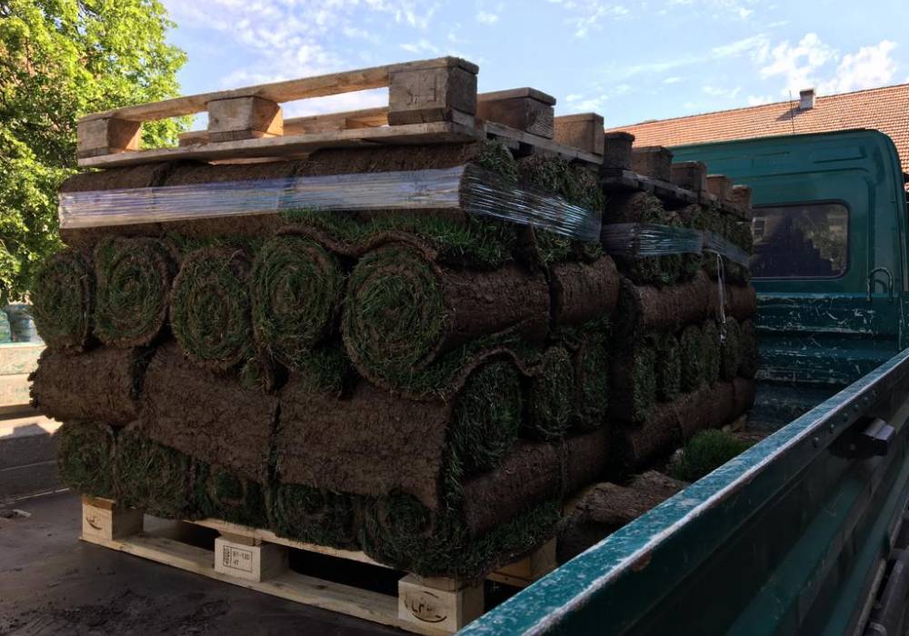 Rollrasen Lieferung Rollrasen