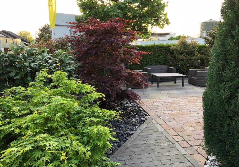 Schaugarten Gartengestaltung und Außenanlage