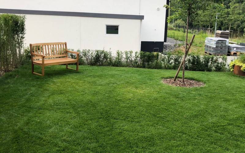 Zierpflanzen und Rollrasen